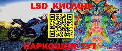 скорость Камышлов