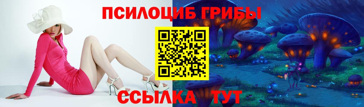Ставрополь  Псилоцибиновые грибы мицелий  Псилоцибиновые грибы Psilocybe  Вход с VPN 